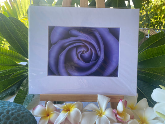 Purple petals signed 4x6 print. Actual matted size 5x7