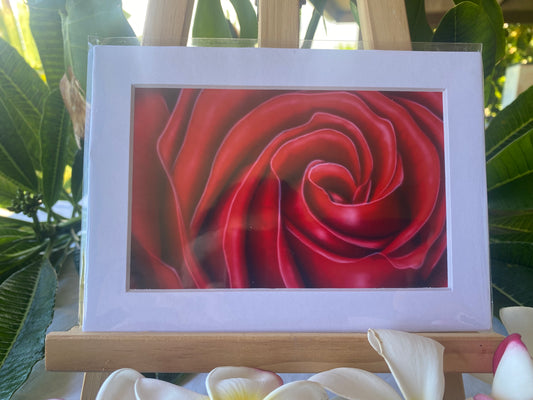 Red Rose signed 4x6 print. Actual matted size 5x7