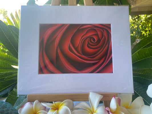 Red Petals 5x7 signed print. Actual matted size 8x10