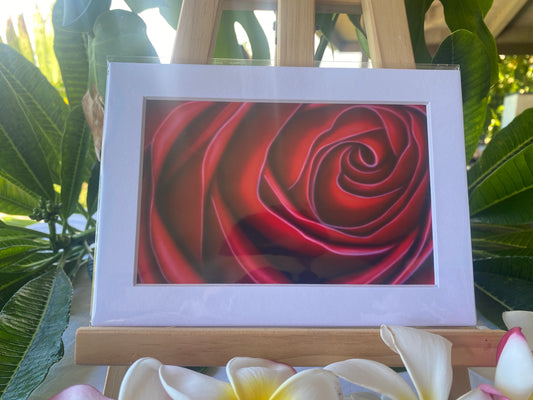 Red Petals 4x6 signed print. Actual matted size 5x7