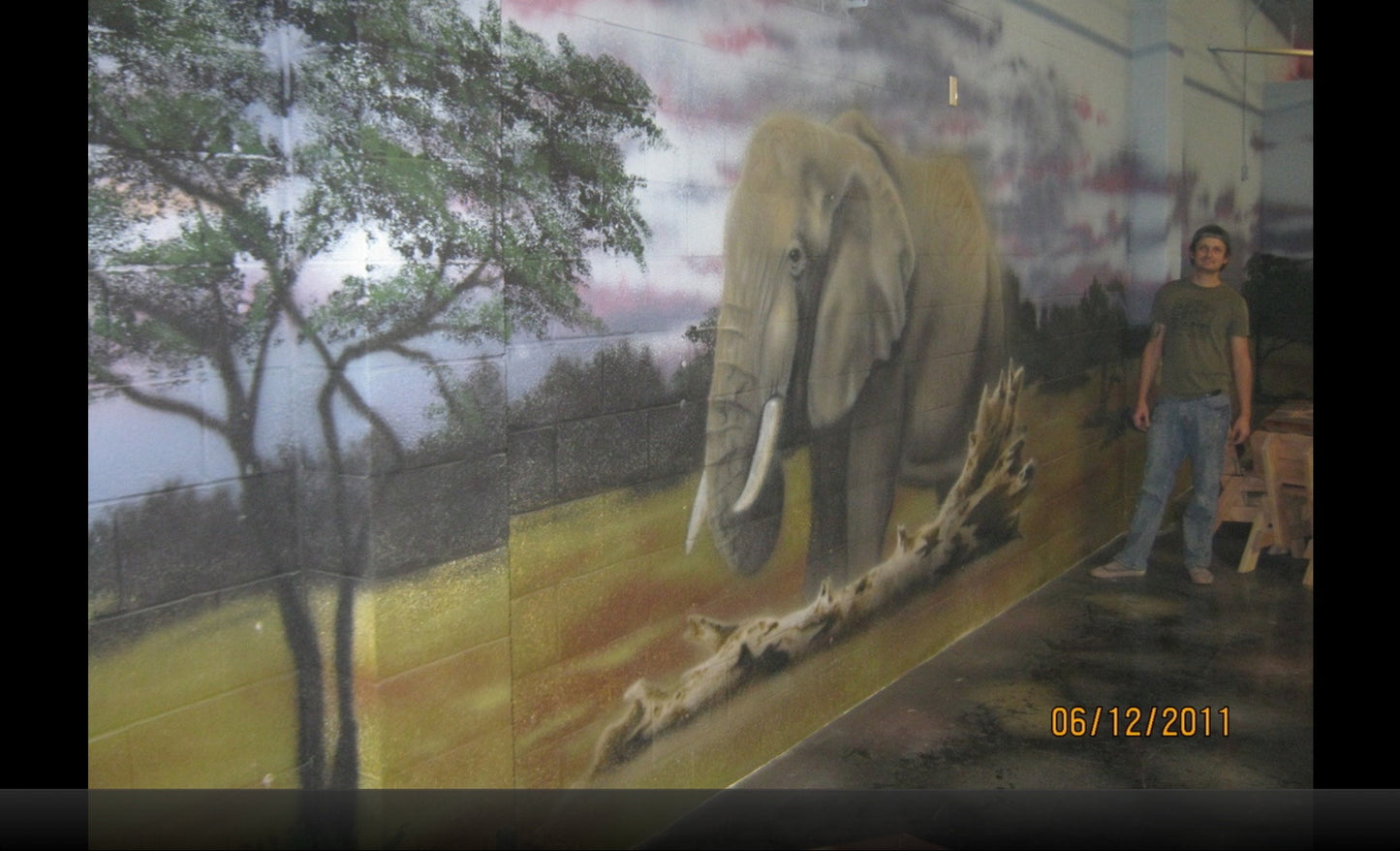 Murals