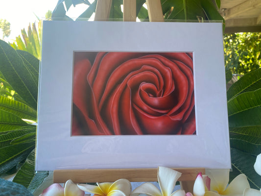 Red Rose signed 5x7 print. Actual matted size 8x10