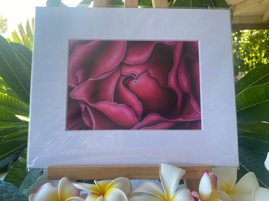 Pink Petals signed 5x7 print. Actual matted size 8x10