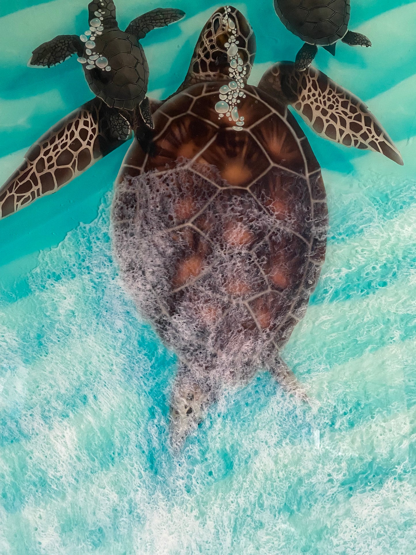 Honu Bubbles