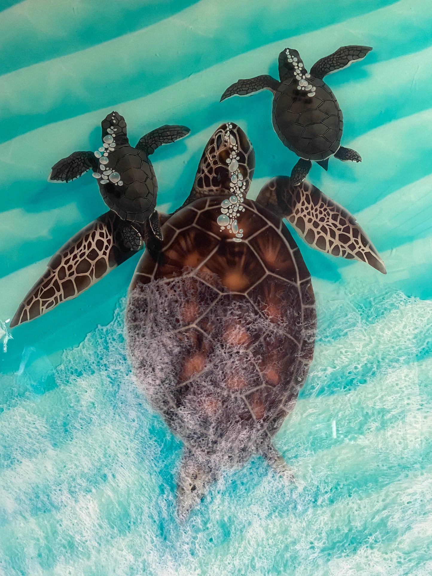 Honu Bubbles