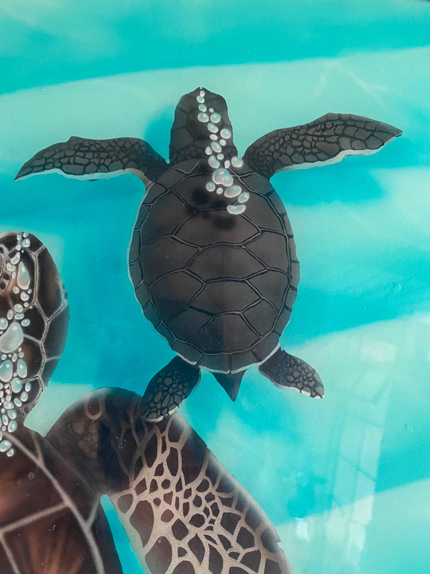 Honu Bubbles